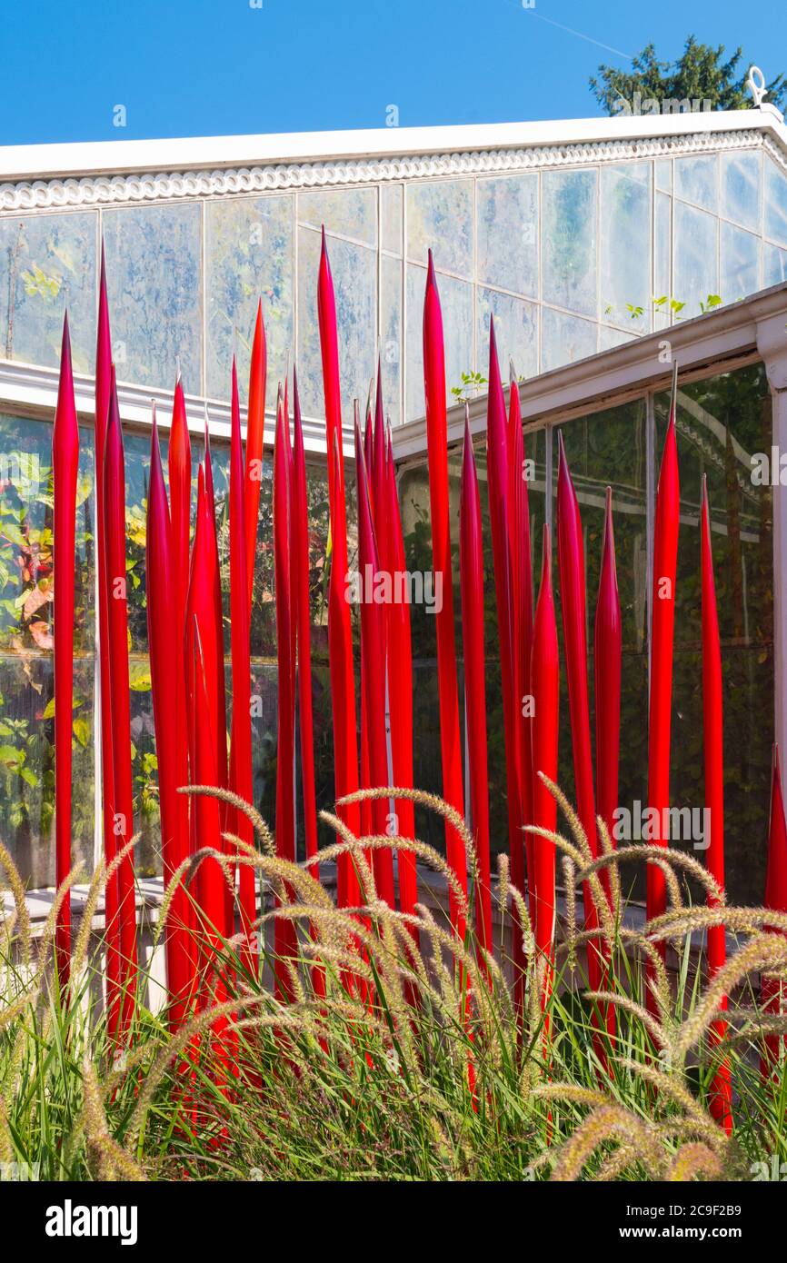 Kew Royal Botanical Gardens iconic Dale Chihuly Reflections Exhibition colourful glass sculptures sculpture art Red Reeds by Temperate House Stock Photo