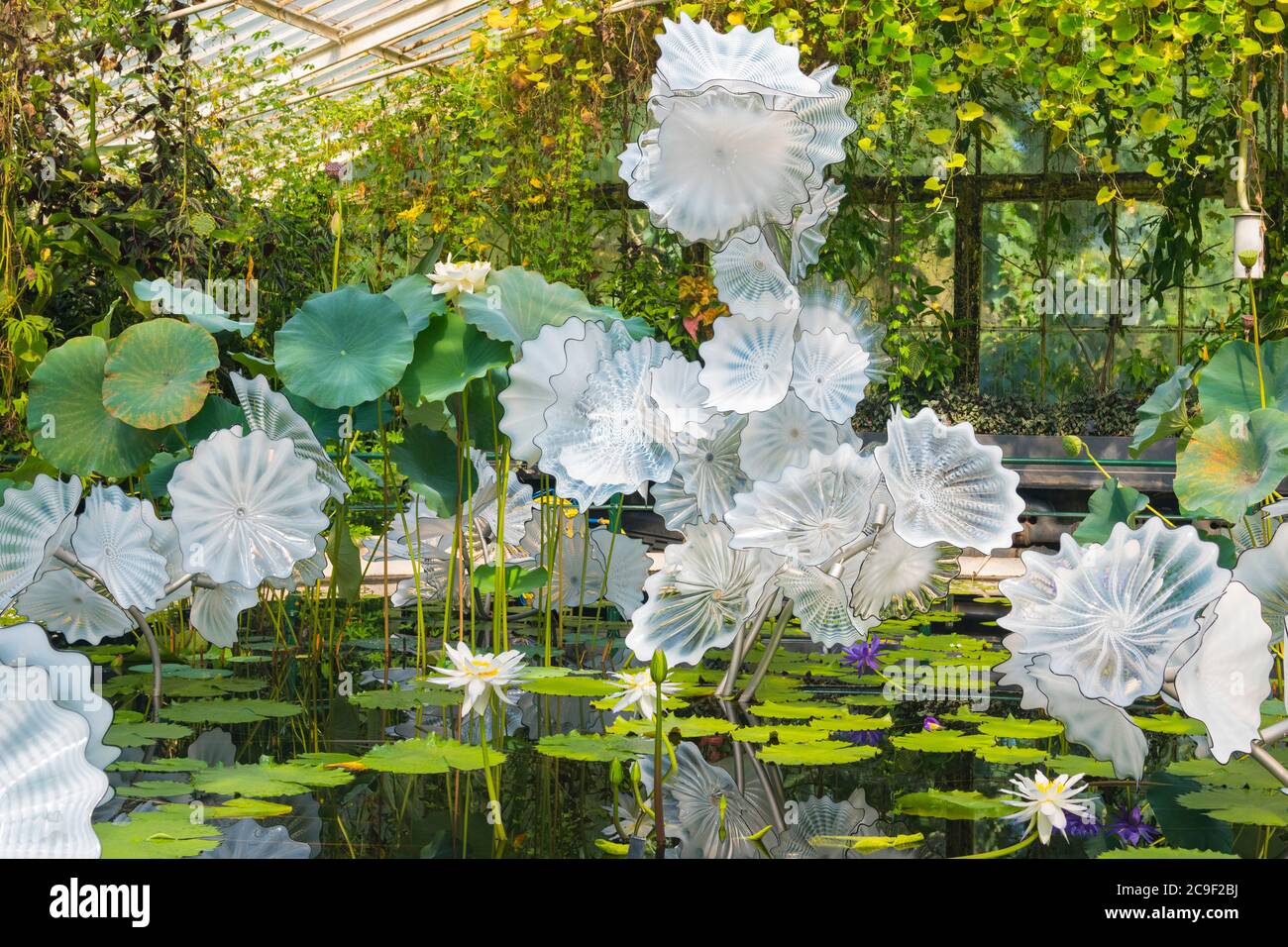 Kew Royal Botanical Gardens iconic Dale Chihuly Reflections Exhibition