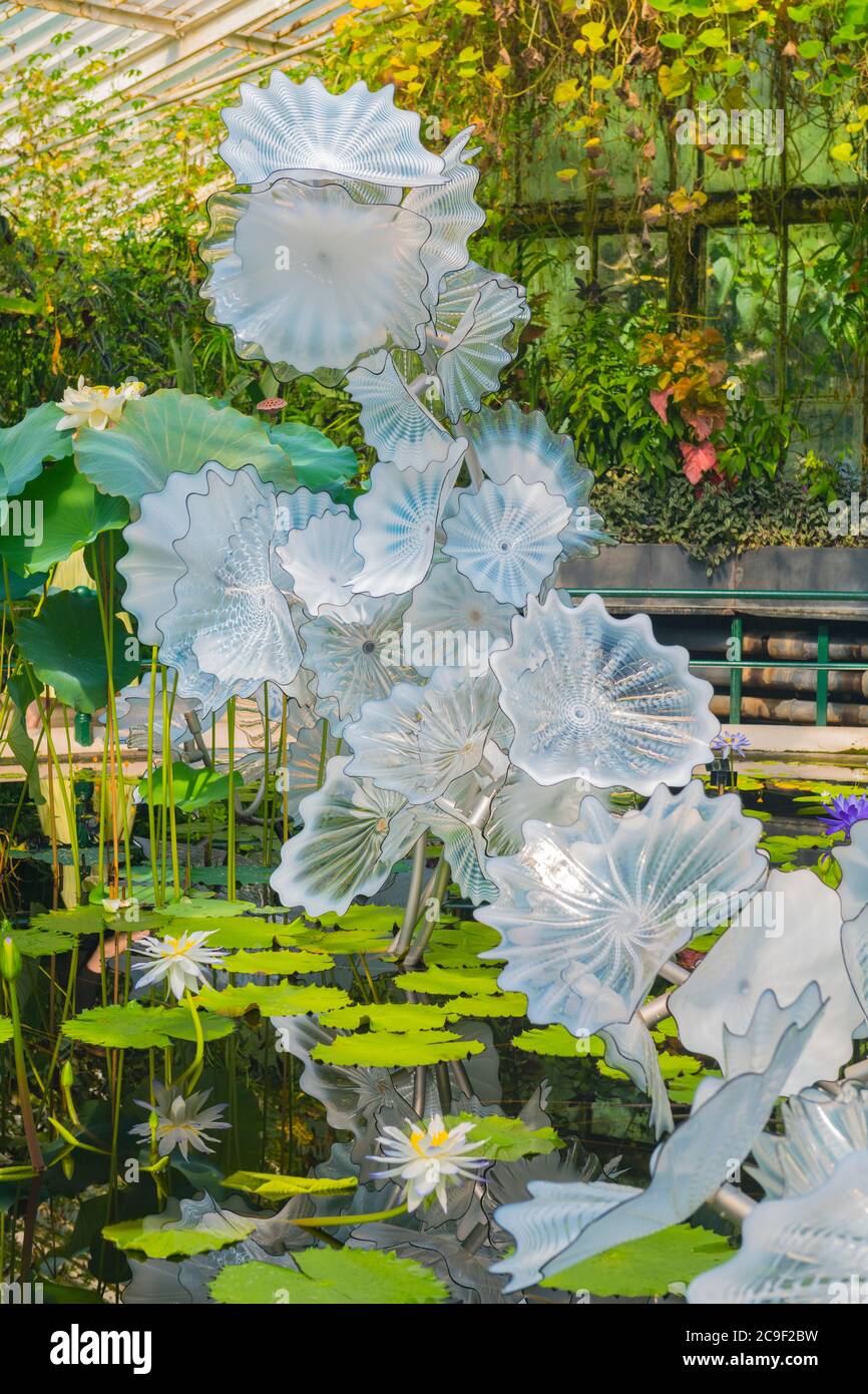 Kew Royal Botanical Gardens iconic Dale Chihuly Reflections Exhibition colourful glass sculptures sculpture art Ethereal White Persian Pond Stock Photo