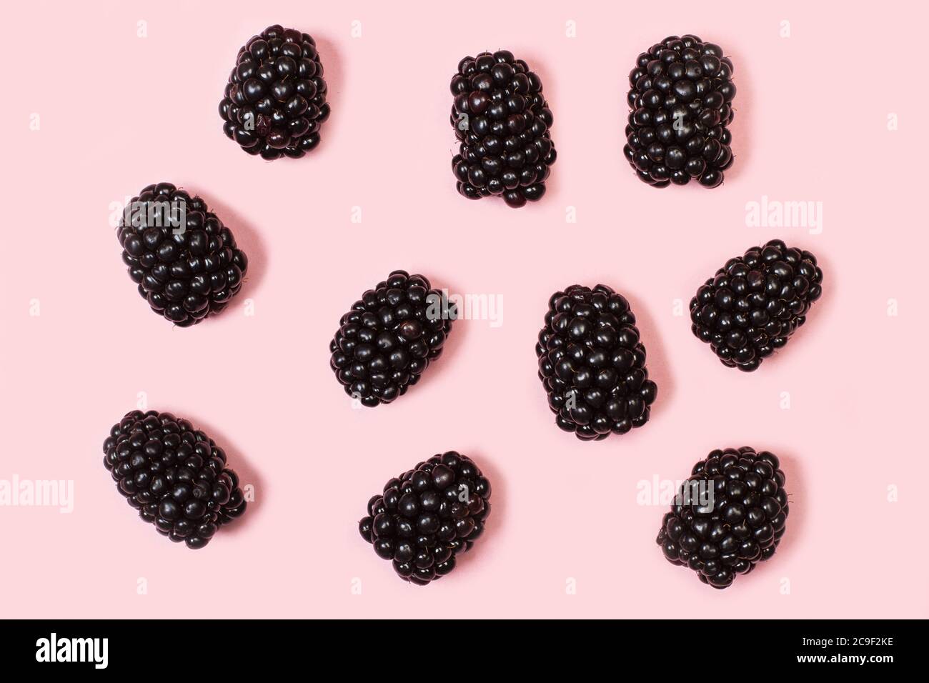 Blackberries on a pink background in a top view Stock Photo