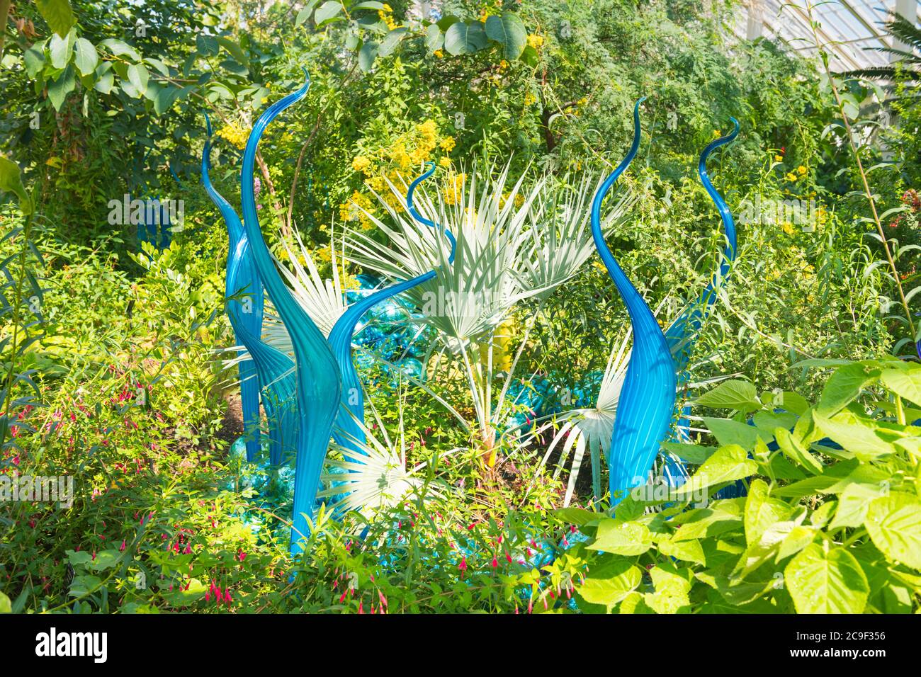 Kew Royal Botanical Gardens iconic Dale Chihuly Reflections Exhibition colourful glass sculptures sculpture art Turquoise Marlins Temperate House Stock Photo