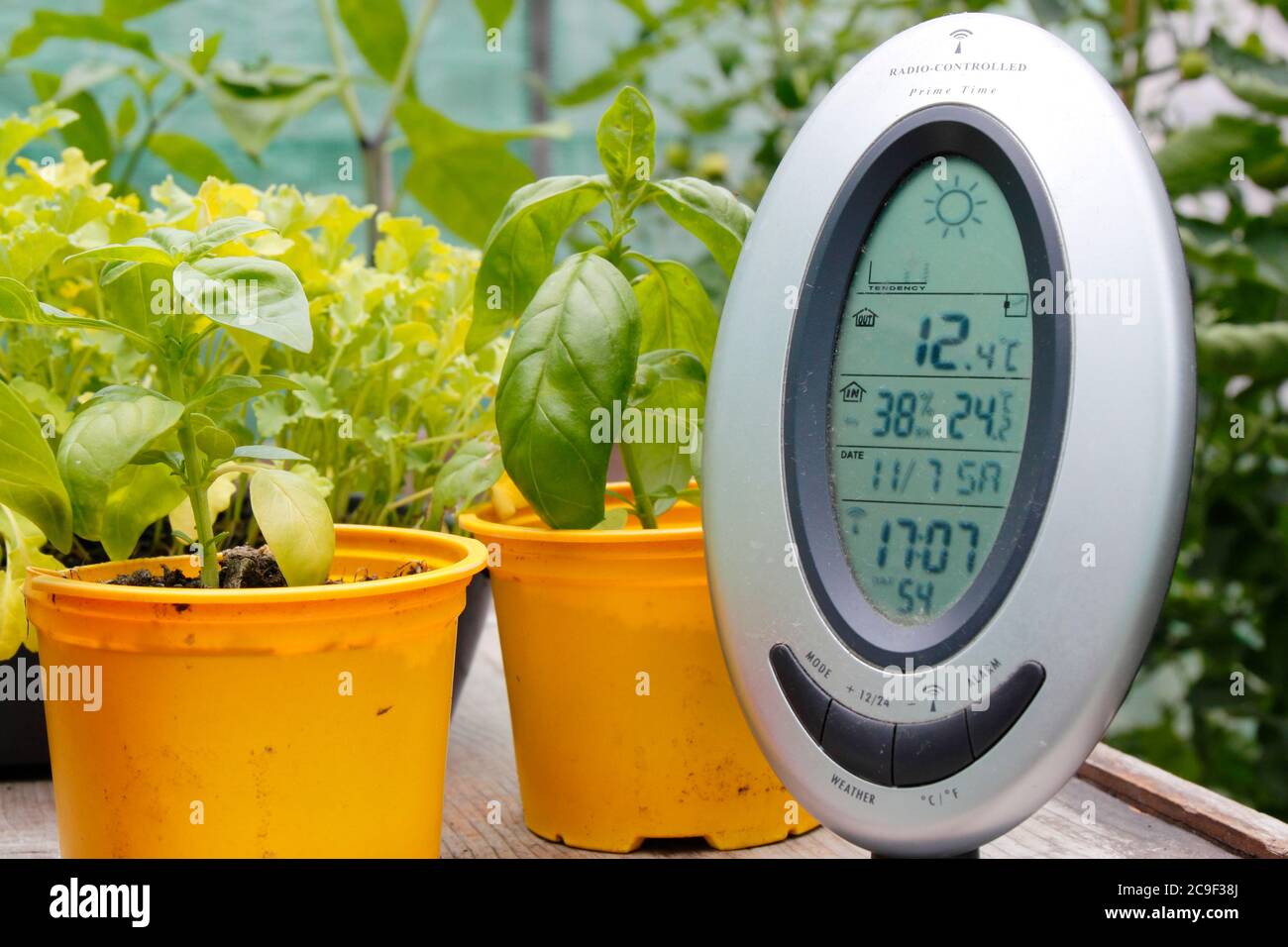 https://c8.alamy.com/comp/2C9F38J/monitoring-the-temperature-and-humidity-in-a-domestic-greenhouse-uk-2C9F38J.jpg