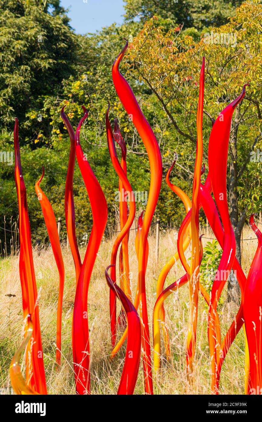 Kew Royal Botanical Gardens iconic Dale Chihuly Reflections Exhibition colourful glass sculptures sculpture art detail & Cattails Copper Birch Reeds Stock Photo