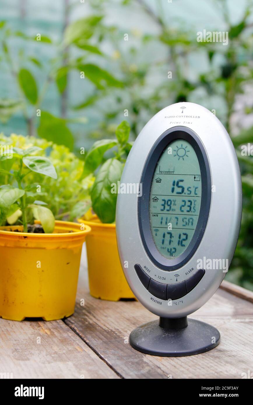 Monitoring the temperature and humidity in a domestic greenhouse. UK Stock Photo