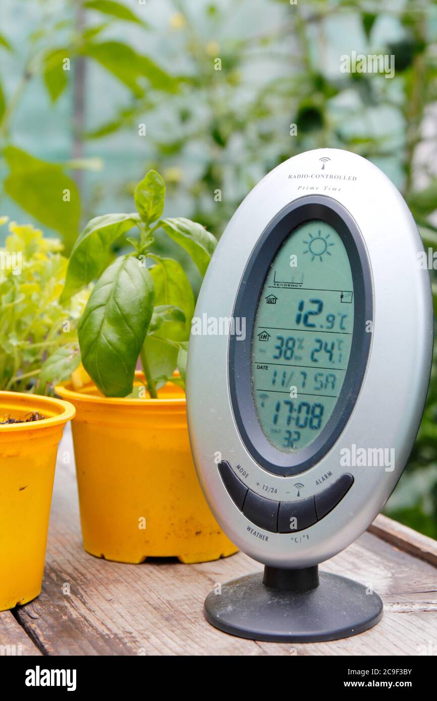 https://c8.alamy.com/comp/2C9F3BY/monitoring-the-temperature-and-humidity-in-a-domestic-greenhouse-uk-2C9F3BY.jpg
