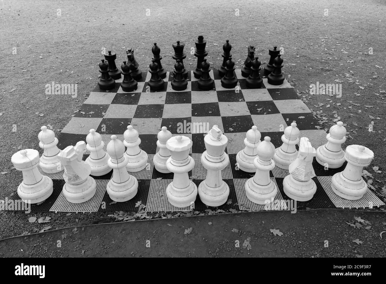 Portrait of big chess board at the park outdoors Stock Photo
