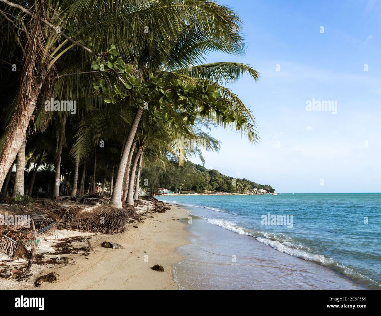 Baan Tai Beach in Koh Phangan Island, Thailand Stock Photo