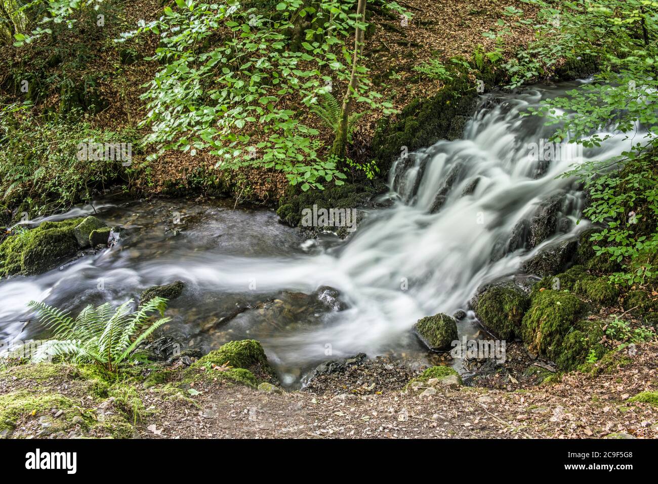 Waterfall on Wynlass Beck as it tumbles down to Millerground and on into Windermere in the Lake District National Park, Cumbria. Stock Photo
