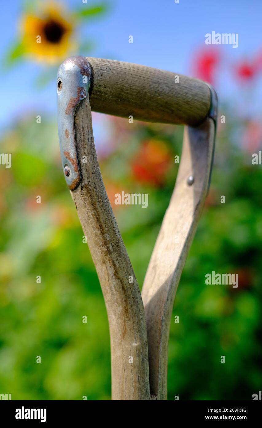 english garden fork handle and blurred flowers in background Stock Photo