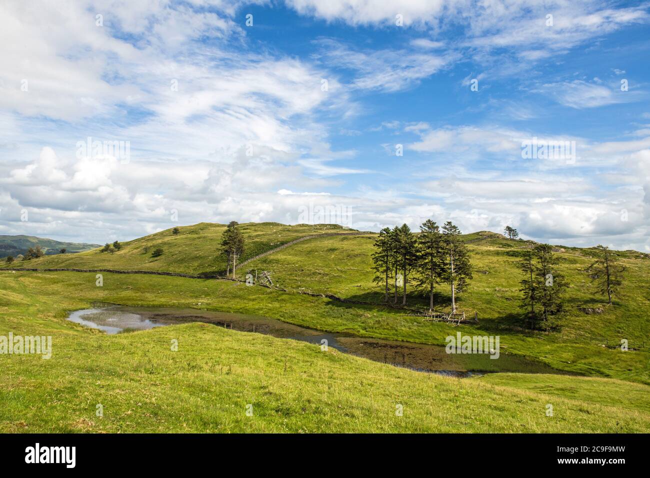 School Knott Tarn above the town of Windermere in the Lake District National Park, Cumbria Stock Photo