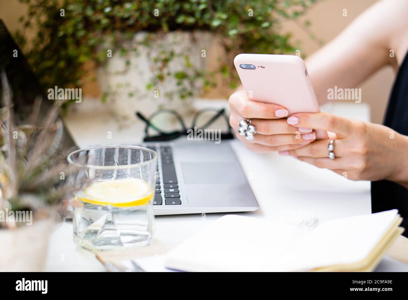 Woman's hand holding smartphone in cozy summer office with laptop and green plants Stock Photo