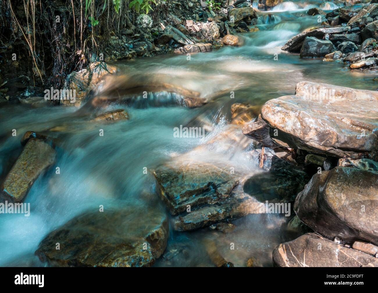 Water stream flowing between rocks into the forest. Water spring in ...