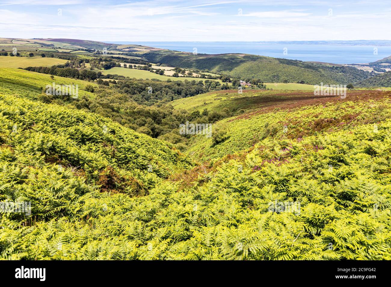 Exmoor National Park - The view down Aller Coombe towards Cloutsham from Dickys Path on Dunkery Hill leading to Dunkery Beacon, Somerset UK Stock Photo