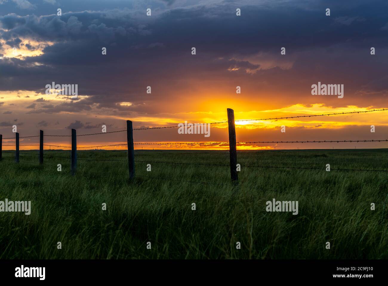A beautiful sunset in rural Midwest farmland highlighted by barbed wire