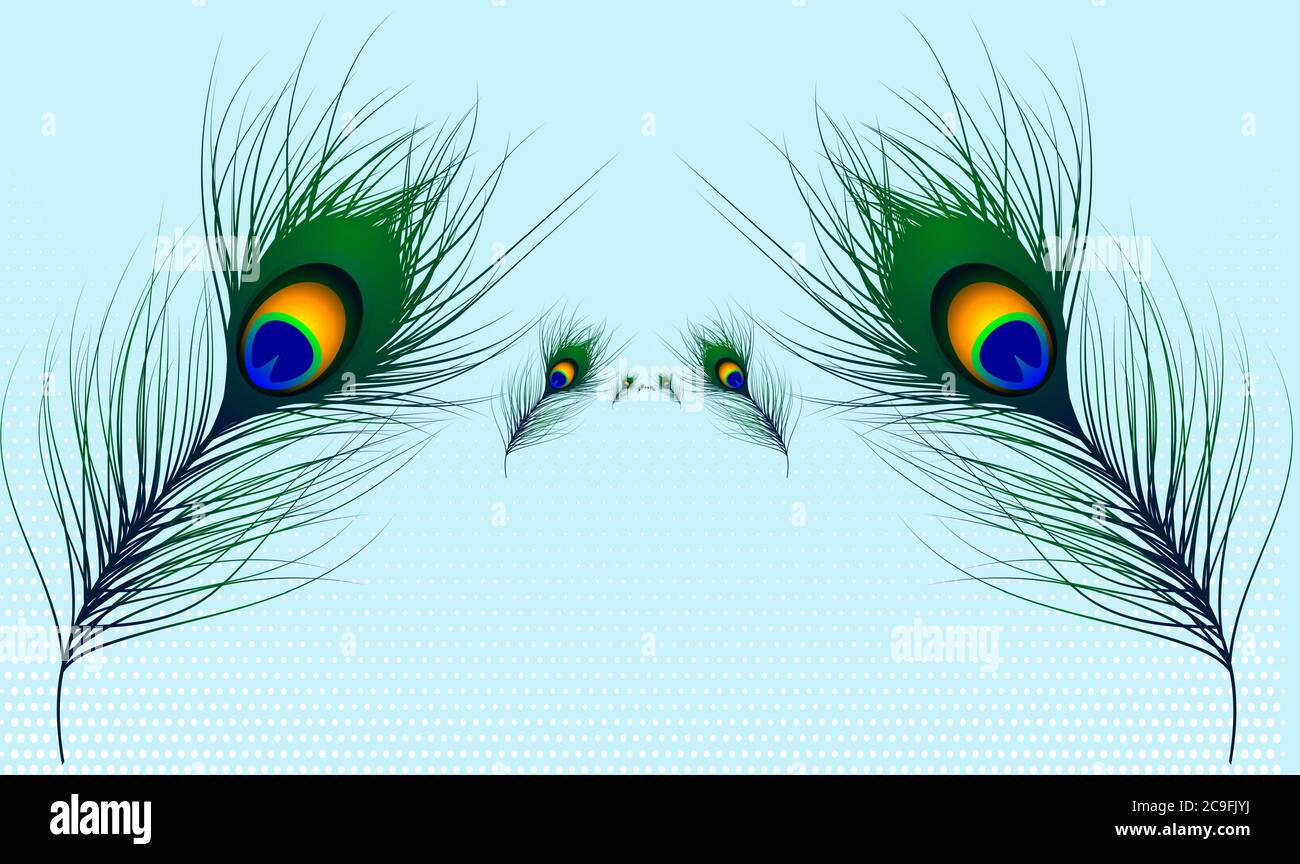 vector design of peacock hair on light abstract backgrounds Stock Vector