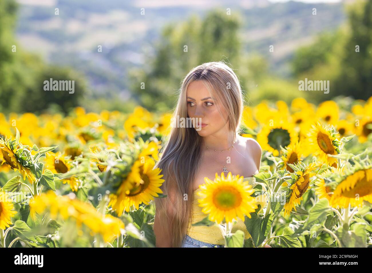 Portrait of a young girl in a sunflower field Stock Photo - Alamy