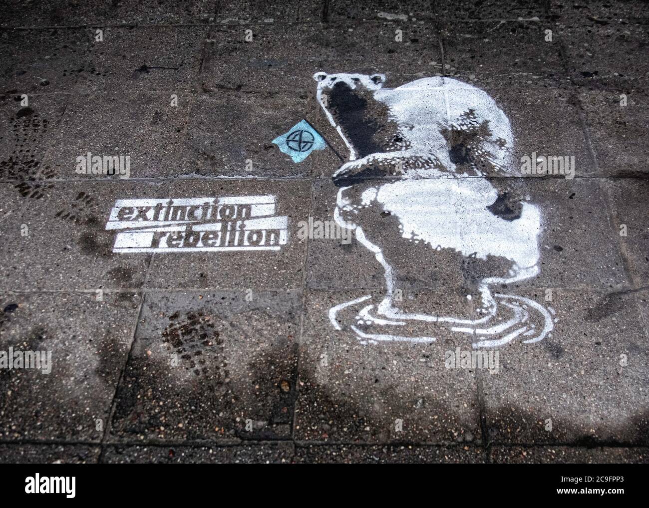 Extinction Rebellion stencil on pavement - Polar bear on melting ice-cap. Climate Change Stock Photo
