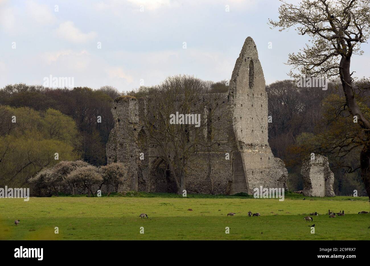 The ruins of Newark Priory near Pyrford in Surrey, in a meadow adjacent