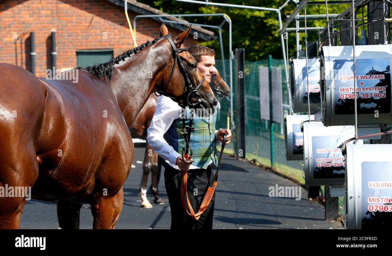 Horses are cooled down with misting fans during day four of the