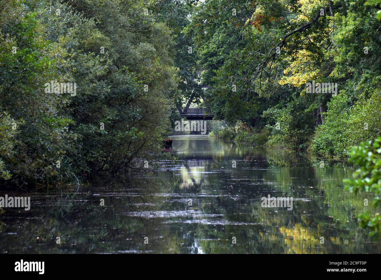 An old metal bridge is reflected in the calm waters of the beautiful Basingstoke Canal in Hampshire on an overcast autumn day Stock Photo