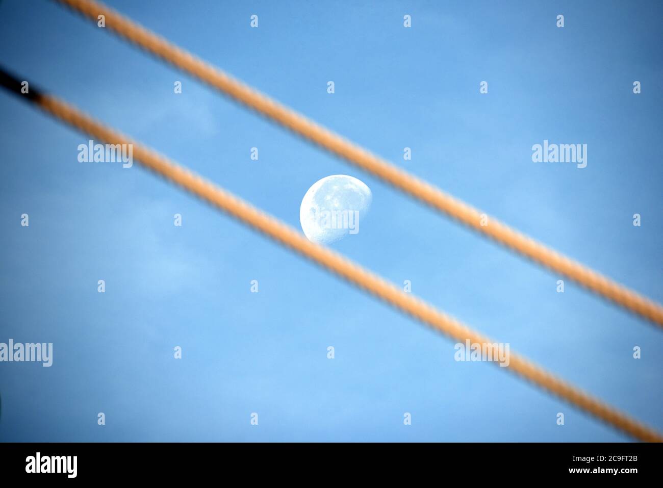 Caught In Rope High Resolution Stock Photography and Images - Alamy