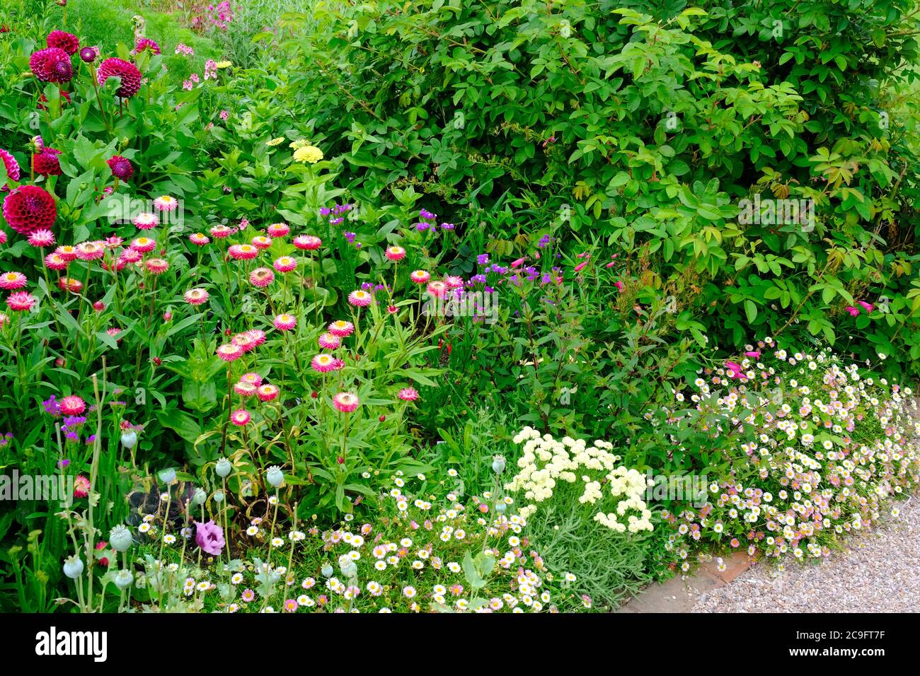 English summer border hi-res stock photography and images - Alamy