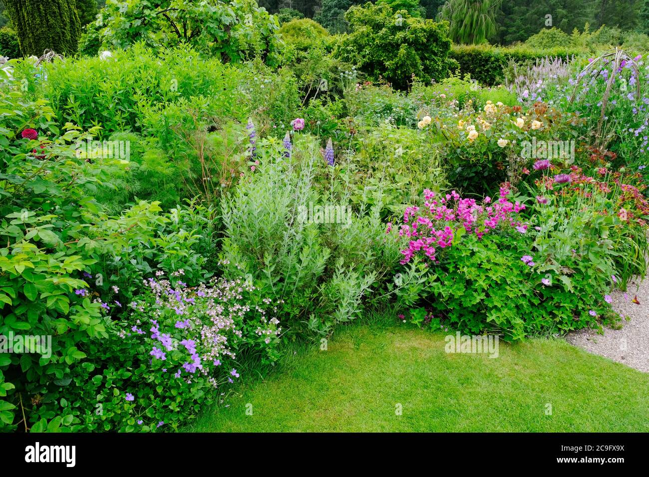 Lush English summer flower border - John Gollop Stock Photo - Alamy