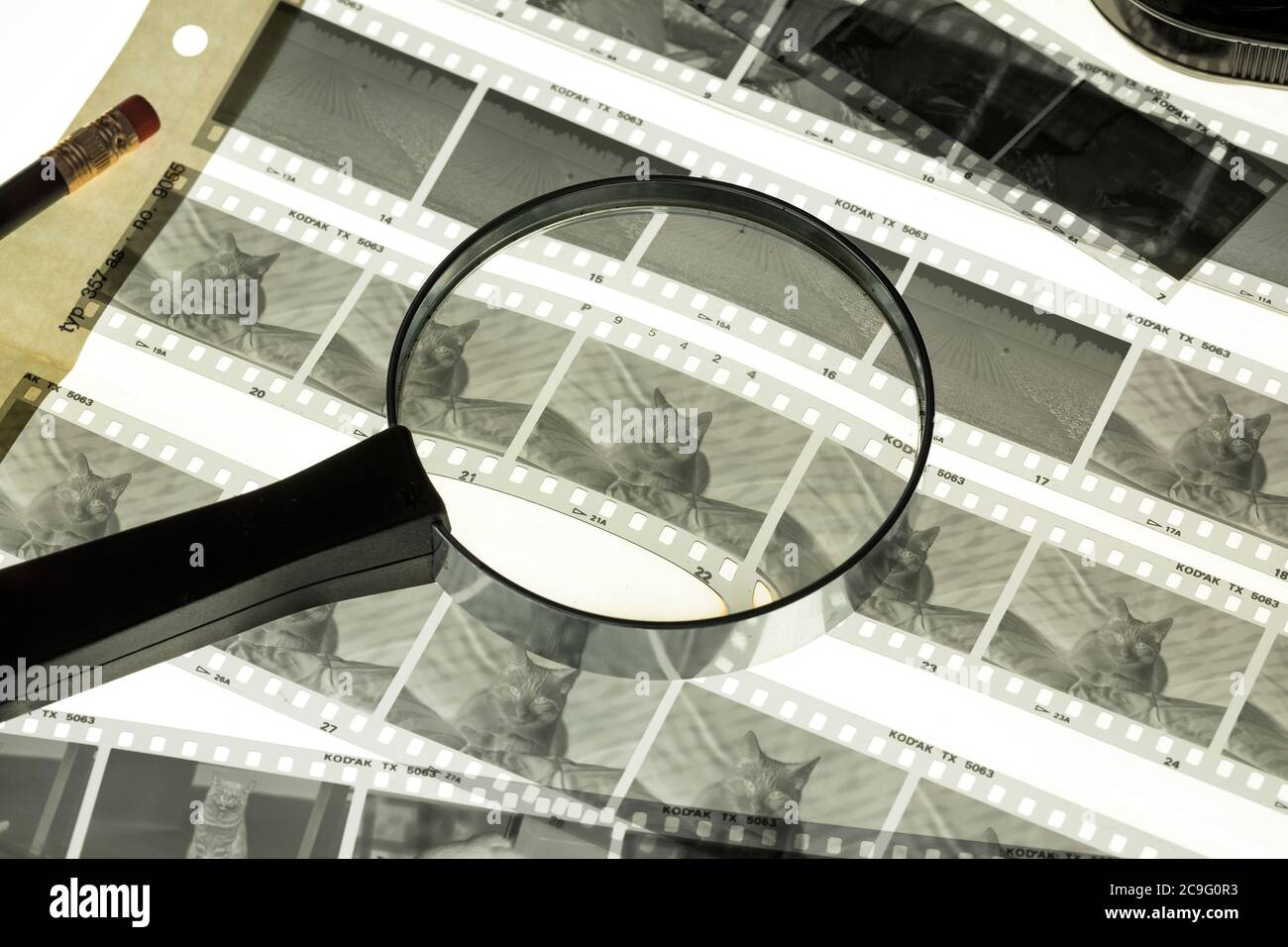 Looking through a magnifying glass to a cat at an analog black and white negative sheet Stock Photo