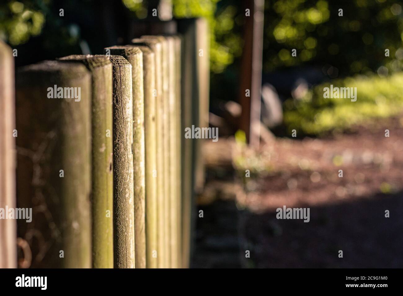 Closeup shot of the wooden fence in the park surrounded by trees Stock ...