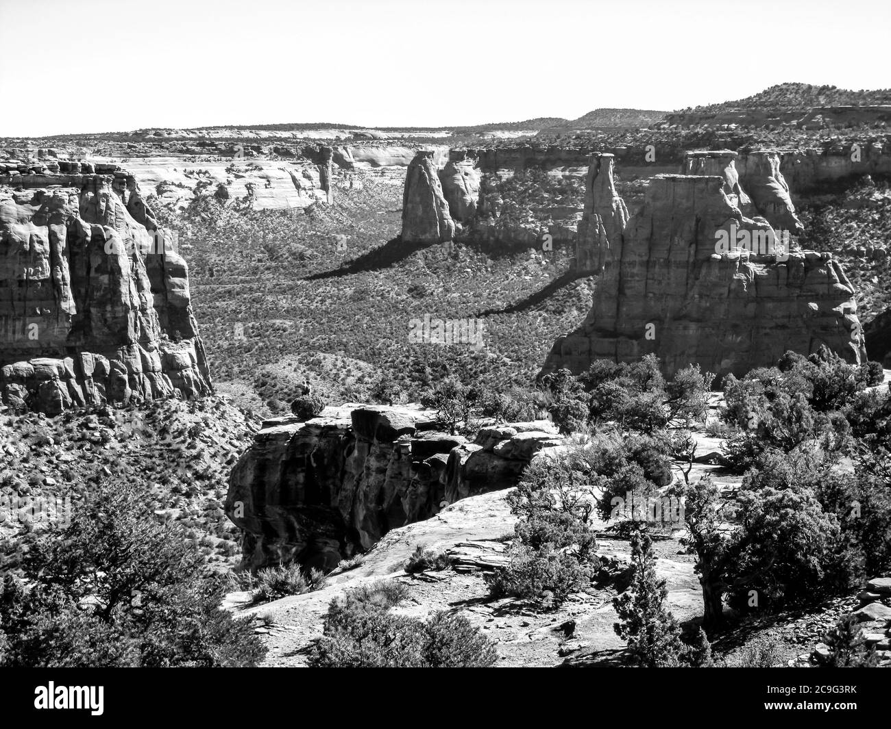 View over the sandstone towers in the Colorado National Monument, in Monochrome Stock Photo
