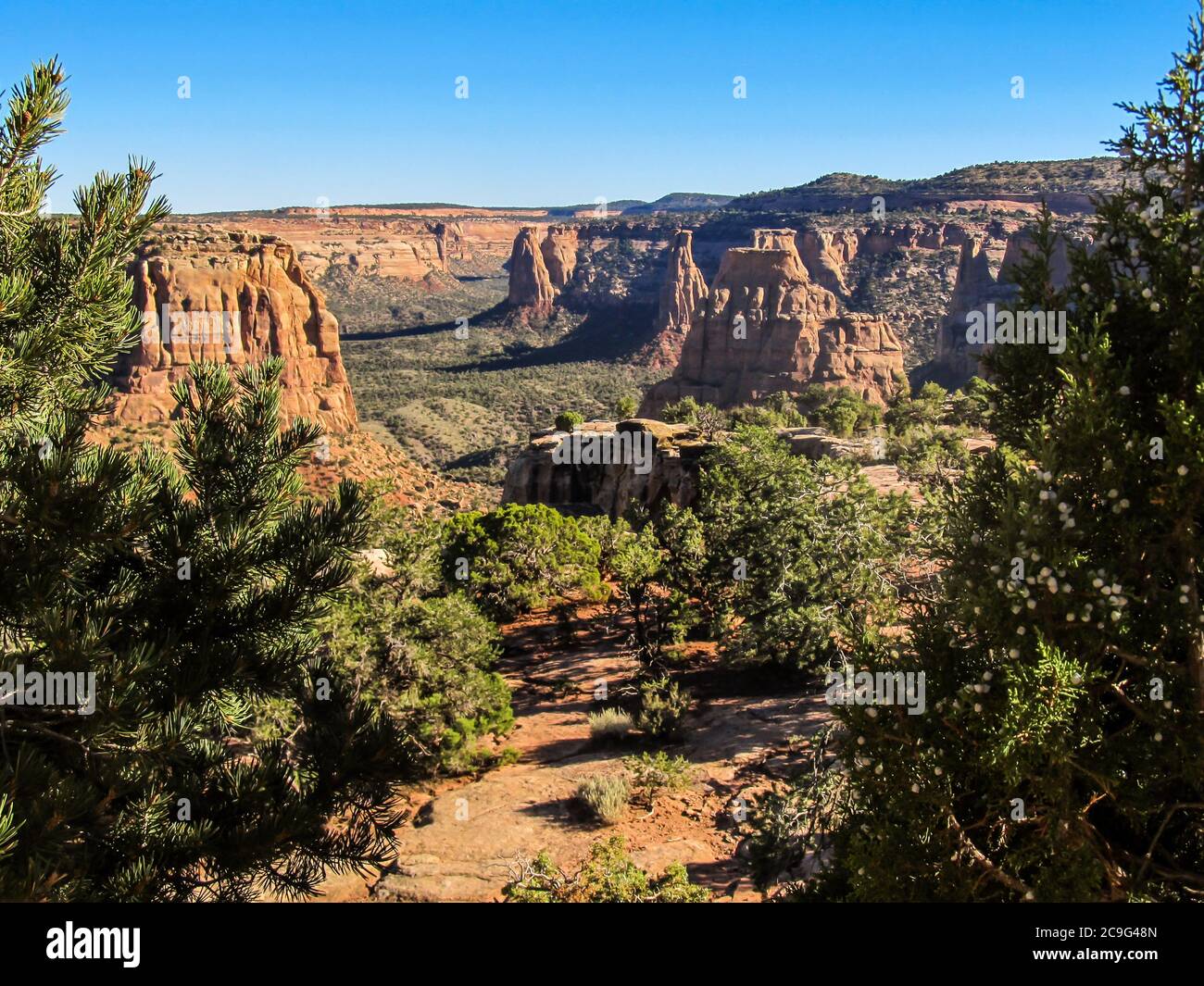 View over the sandstone towers of the Colorado National Monument, USA, on a sunny morning Stock Photo