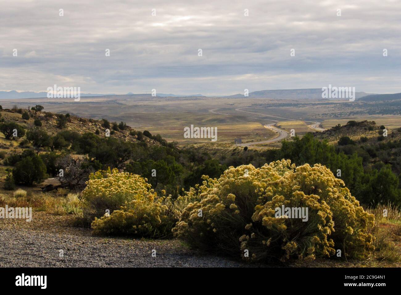 View over the hills of west Colorado, USA, from a viewpoint on the I-70 at the state boundary, on a cloudy morning with rabbit bush in bloom in the fo Stock Photo