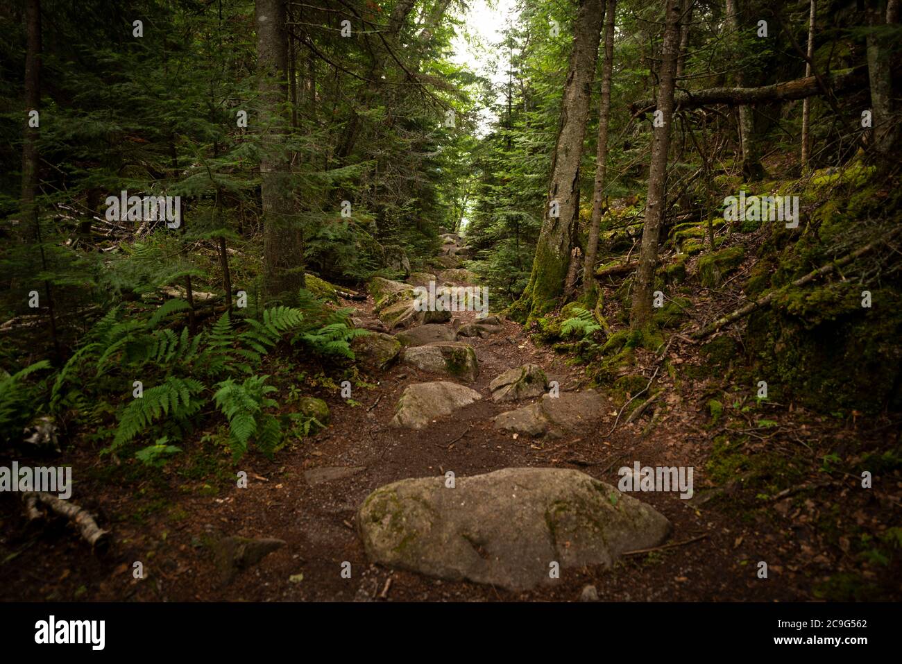 Boulder strewn bed hires stock photography and images Alamy