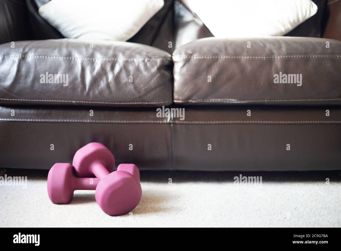 Pair of dumbbells on carpet next to couch or settee in home. Theme or concept home workout, workout from home, keep fit, weightlift, health. Stock Photo