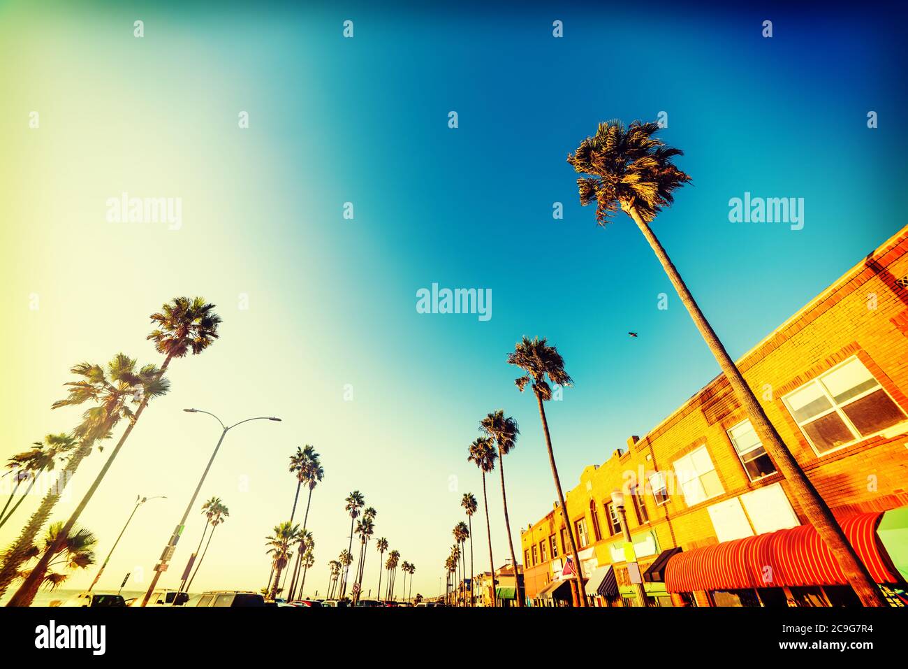 Palm trees and picturesque stores in Newport Beach seafront, Orange County. Southern California, USA Stock Photo