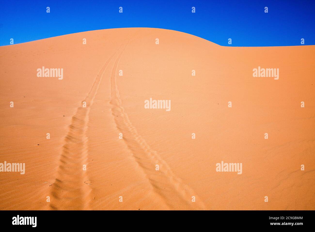 Jeep tracks on a trail at Coral Pink Sand Dunes State Park, Utah. Stock Photo