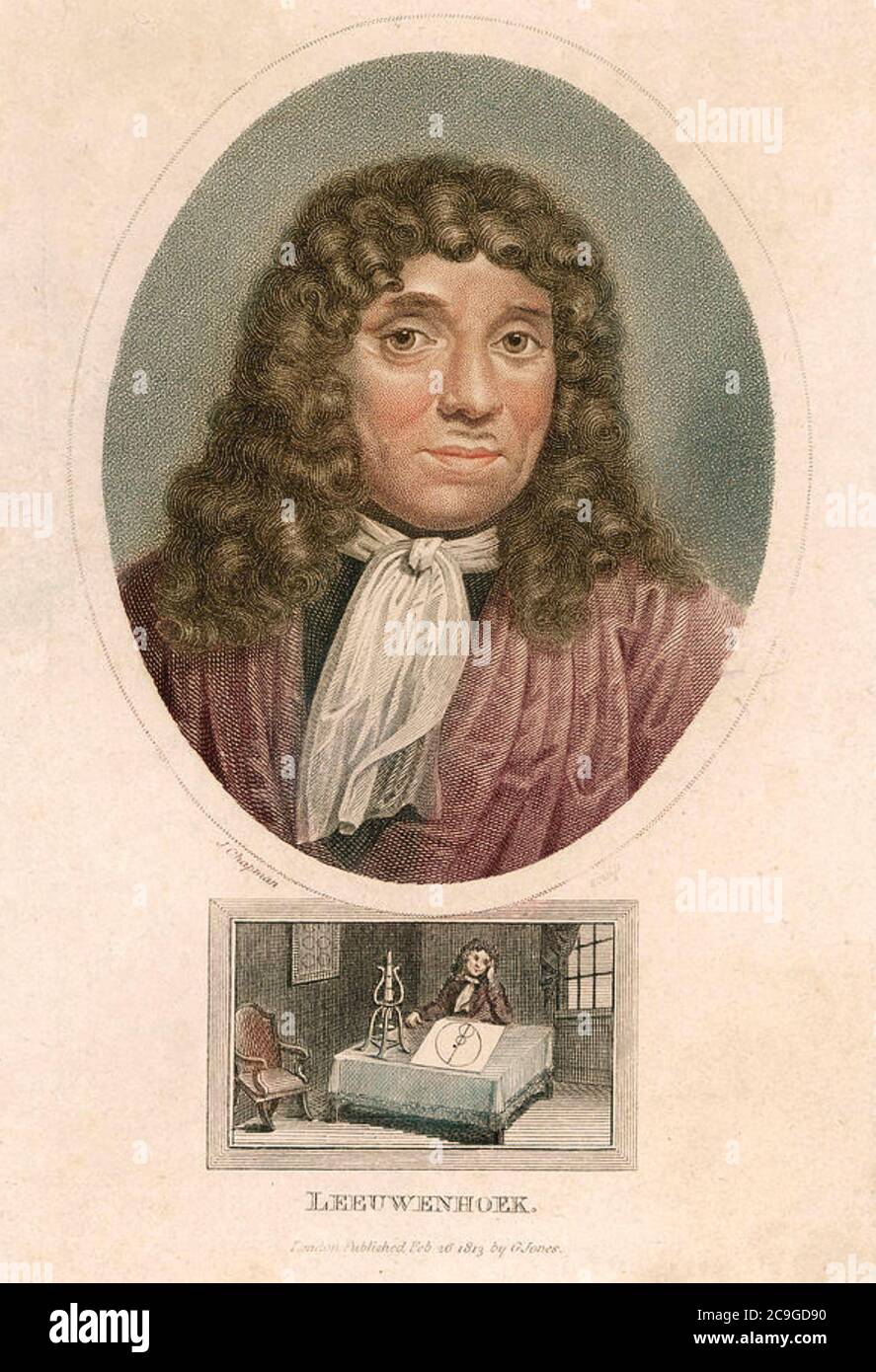 ANTOINE van LEEUWENHOEK (1632-1723) Dutch micro-biologist and businessman Stock Photo