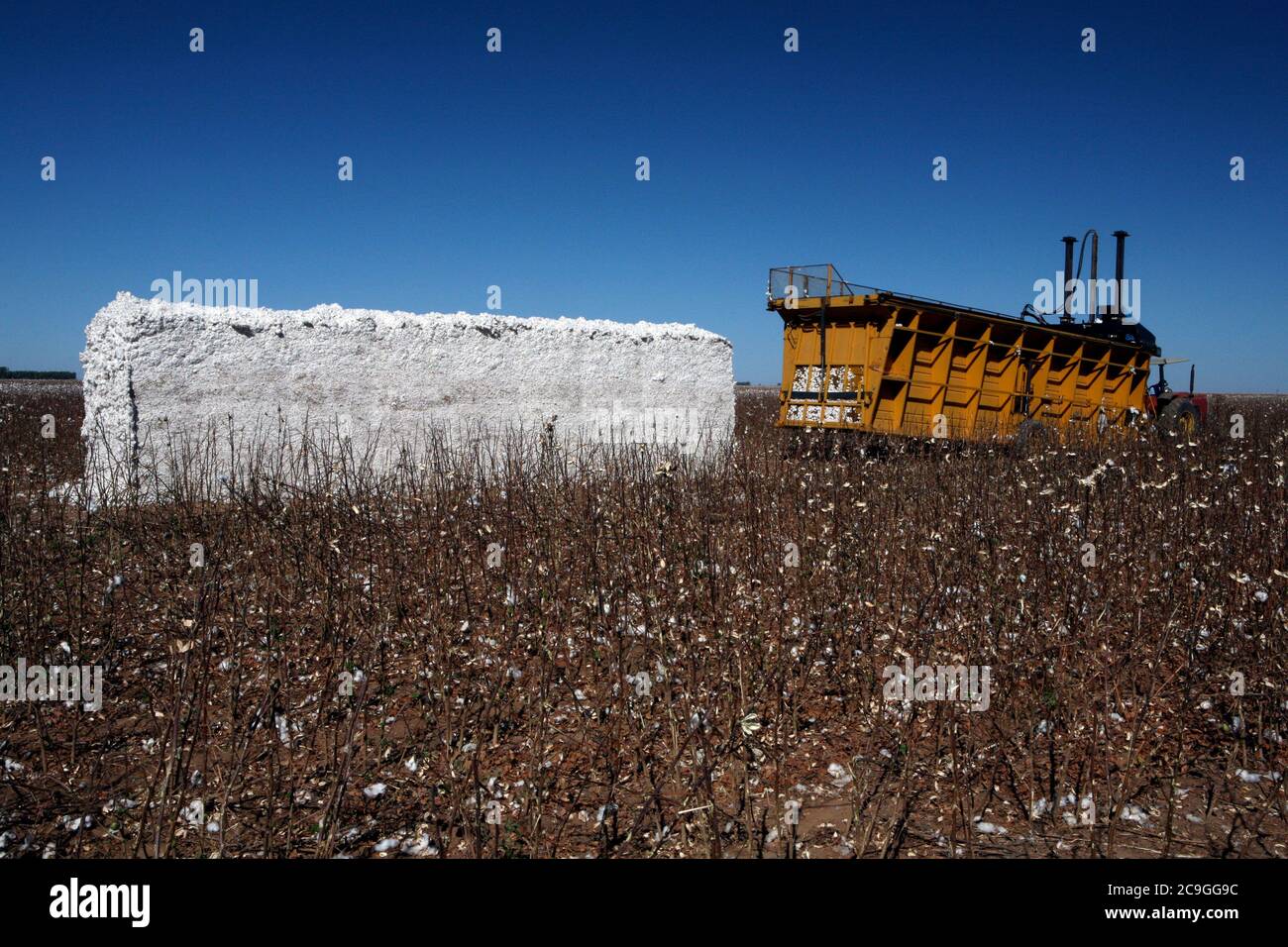 Cotton bale hires stock photography and images Alamy