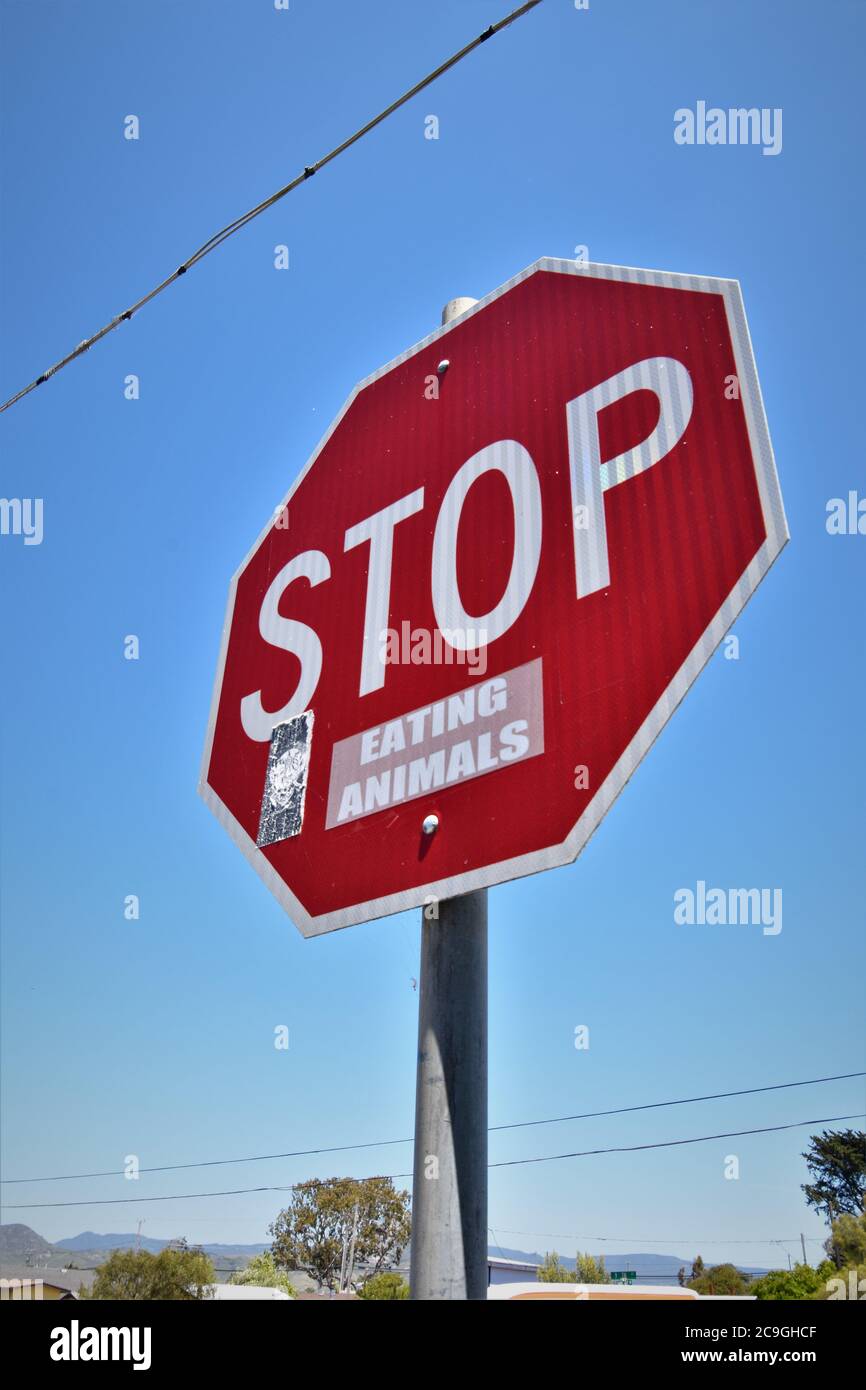 Corner stop sign with a political message about vegetarian ideals and not eating animals for food - in the heart of cattle country of California USA Stock Photo