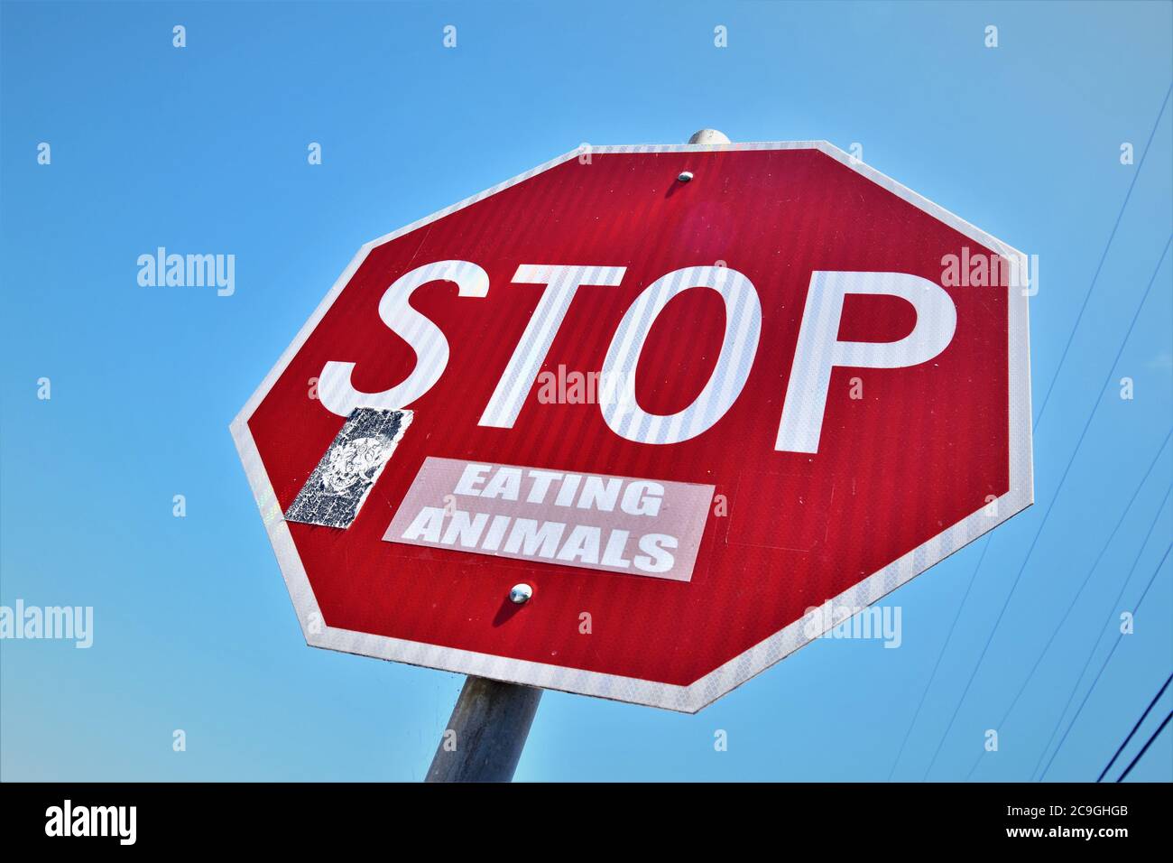 Corner stop sign with a political message about vegetarian ideals and not eating animals for food - in the heart of cattle country of California USA Stock Photo