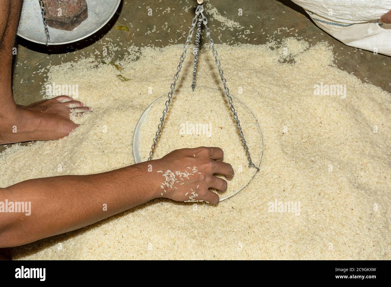 Weighing Rice High Resolution Stock Photography And Images Alamy