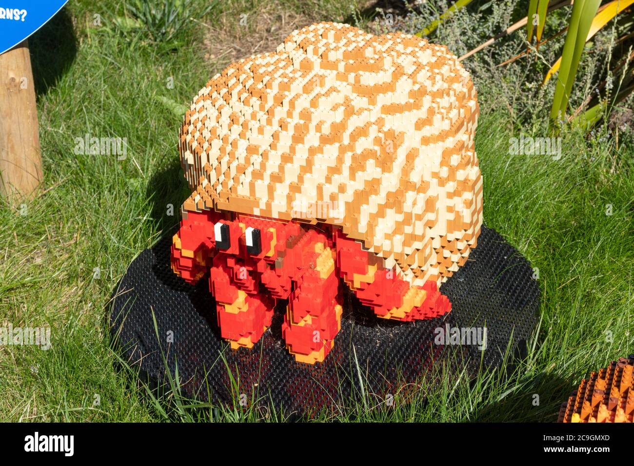 Supersized lego brick animal models at Marwell Zoo, UK, a childrens activity trail. A hermit crab model Stock Photo
