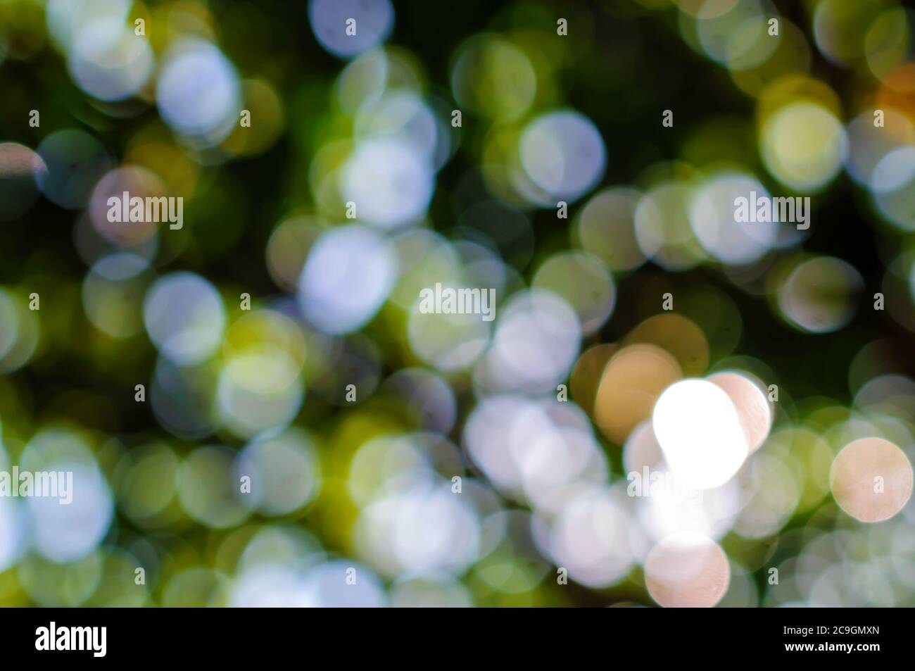 Abstract natural green bokeh background, blurred and defocused ...