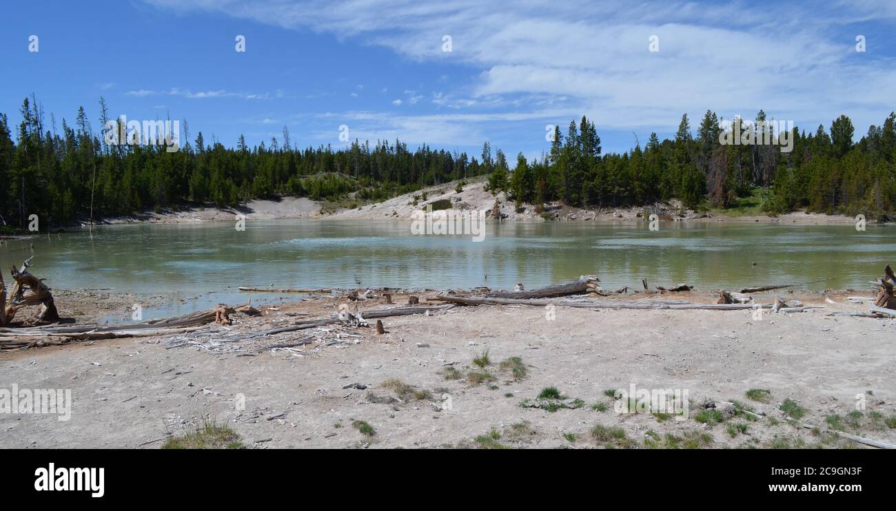 Late Spring in Yellowstone National Park Sour Lake in the Mud Volcano Area Along the Grand Loop