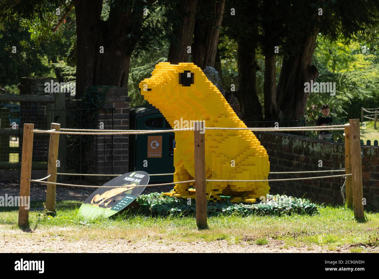 Lego frog hi res stock photography and images Alamy