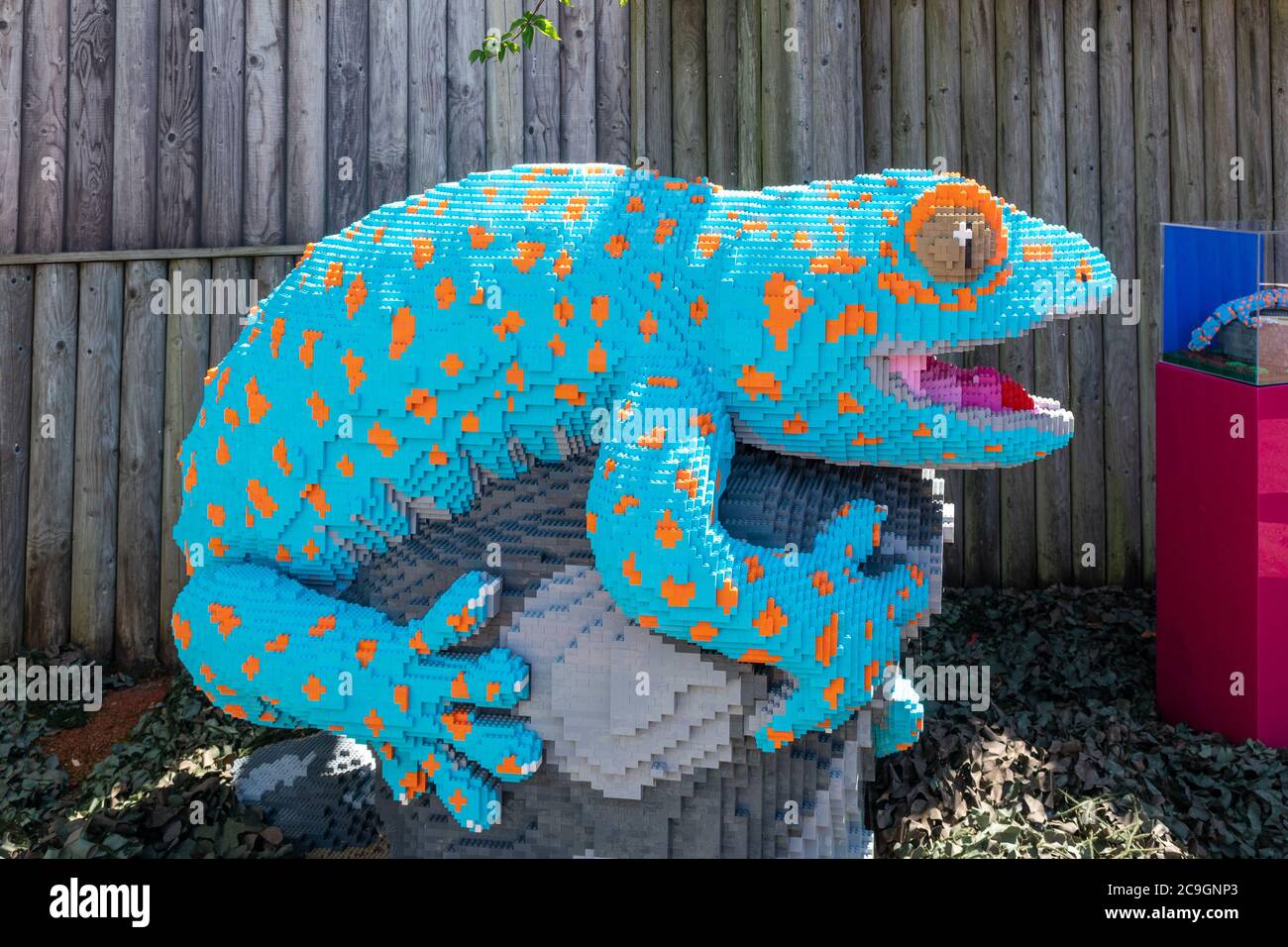 Supersized lego brick animal models at Marwell Zoo, UK, a childrens activity trail. A gecko model. Stock Photo