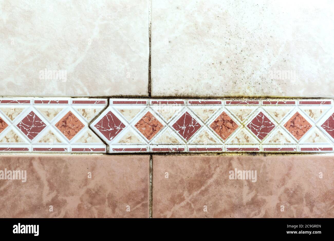 Mold tile joints with fungus due to condensation moisture problem