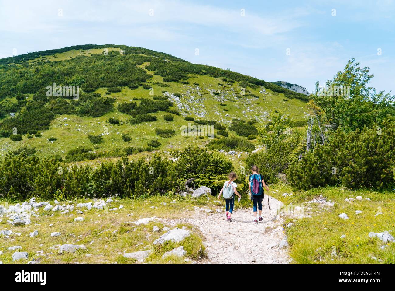 Children hiking on beautiful summer day in alps mountains Austria ...
