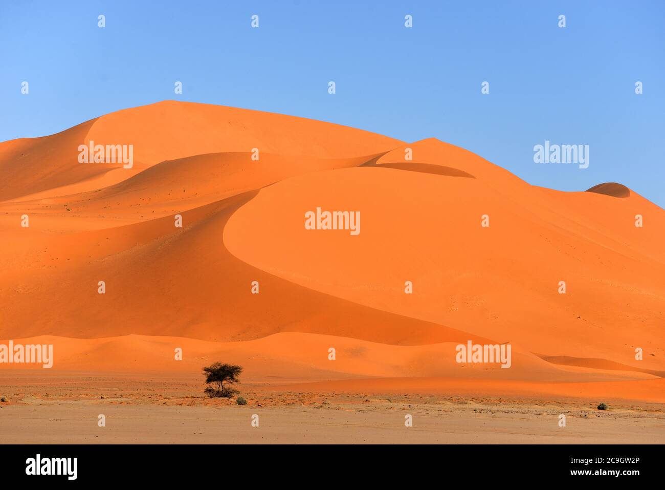 Aga red aga hires stock photography and images Alamy