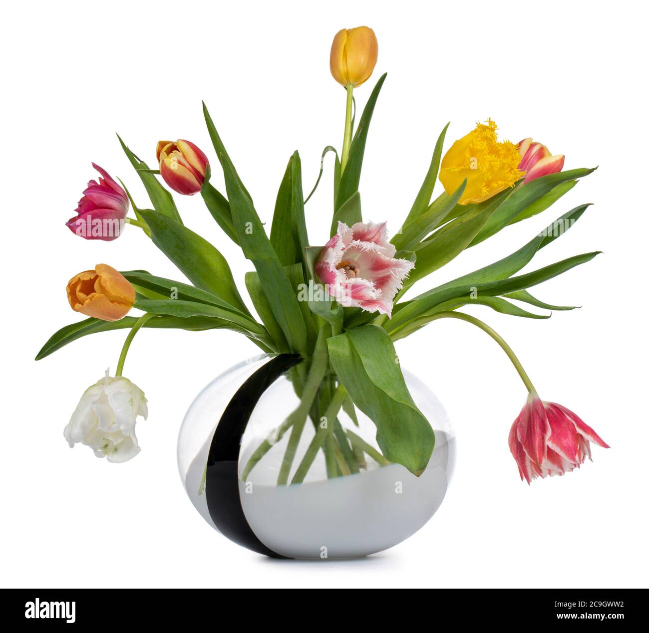 Bouquet of diffent types and color tulips in glas vase. isolated on